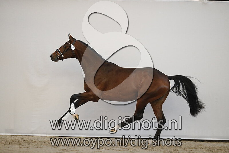 Glock's Victorio v. Vitalis