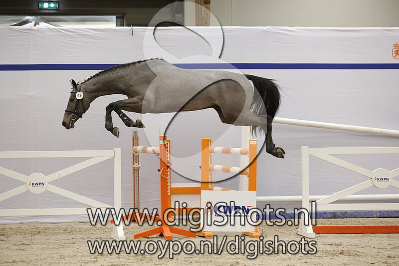 Spicy vd Watermolen v. Connect