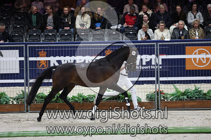 Singleton RS2 v. Jameson RS2