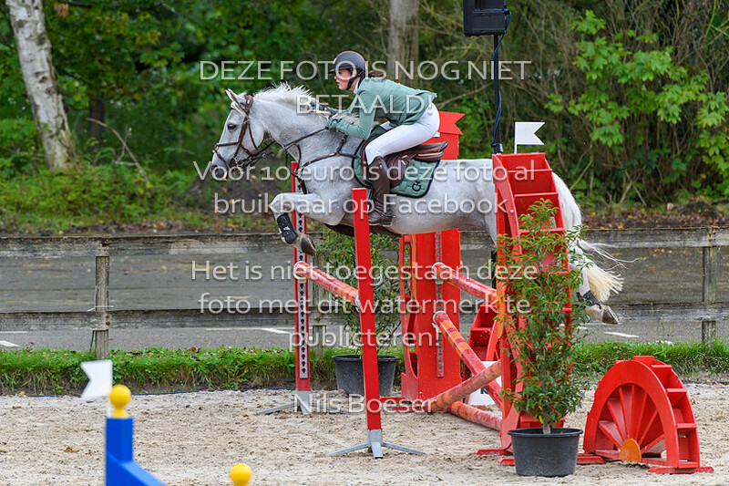 10 Klasse 110 2 fasen