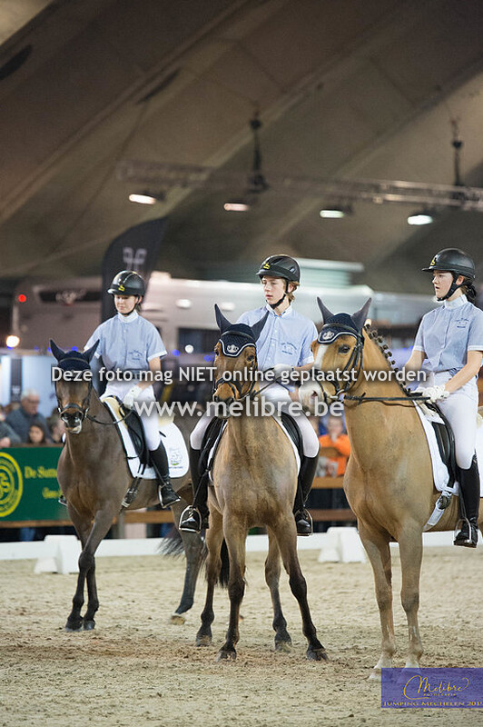 Demo LRV Ponies - Achttal