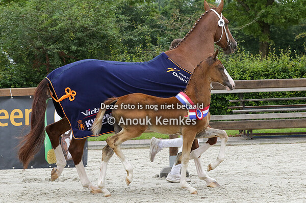 016 - URANOLIA JRR OLYMPUS HS X ARON HBC H.T. RUINEMANS, FROOMBOSCH