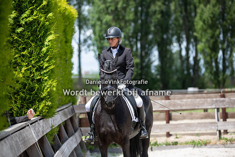 Diana Hollander _ Minke