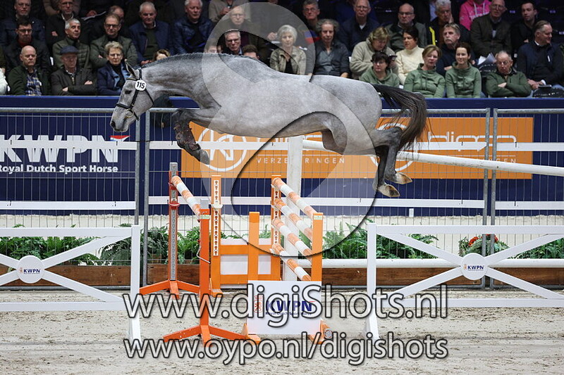 Son of Mattias v. Mattias