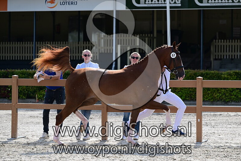 Venezia Optima - 067