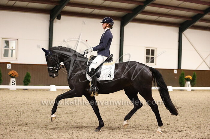 Frederique van Zeeland - Black on Top