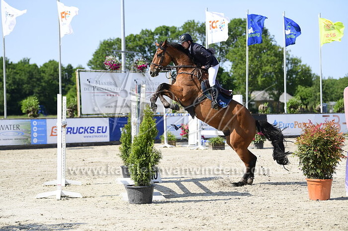 Mitchel Sonneveld - Green Power VL