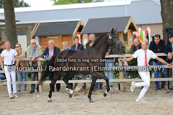 116 Lily v George Clooney