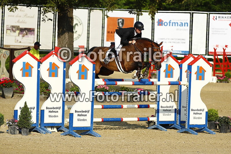 dennis van den brink