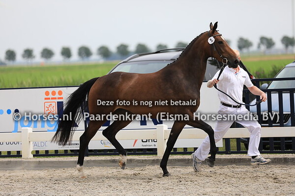 5 Livia v Grandorado TN