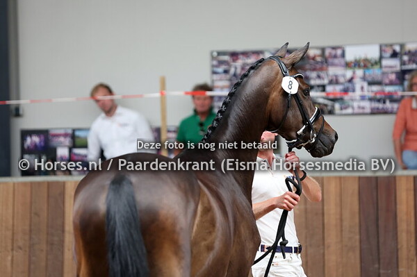 8 Snapchat van hof Olympia (Indian Rock x H.Fountana vh O)