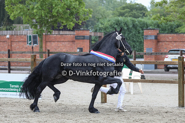 133. Jikke v.d. Shamrock