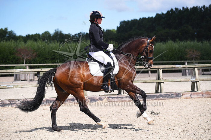 2020-07-12 Stad aan 't Haringvliet