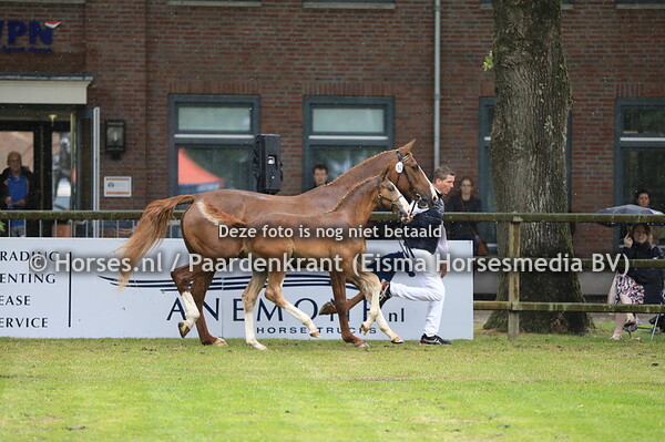 52 Otajirma v Henkie