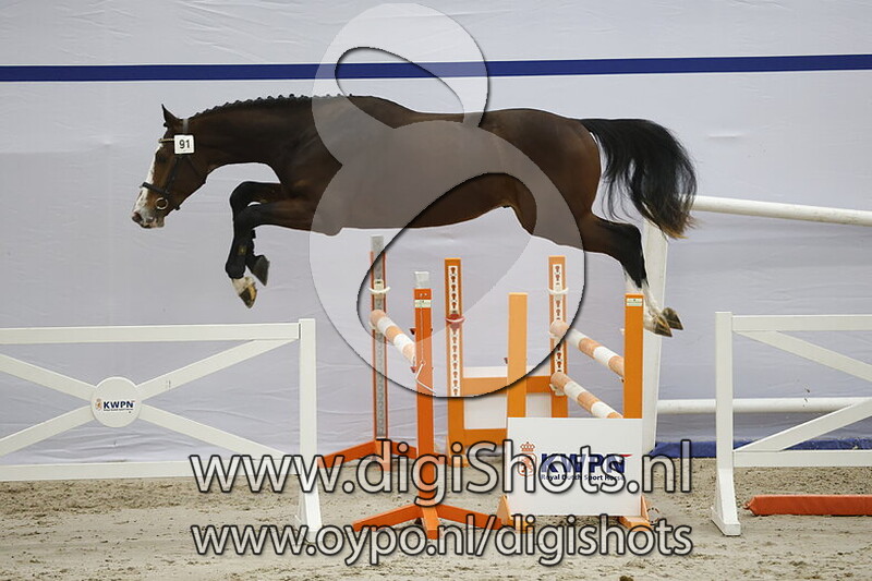 Silver Star T v. Grand Slam VDL