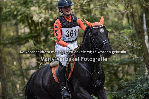 B pony's lang cat. CDE