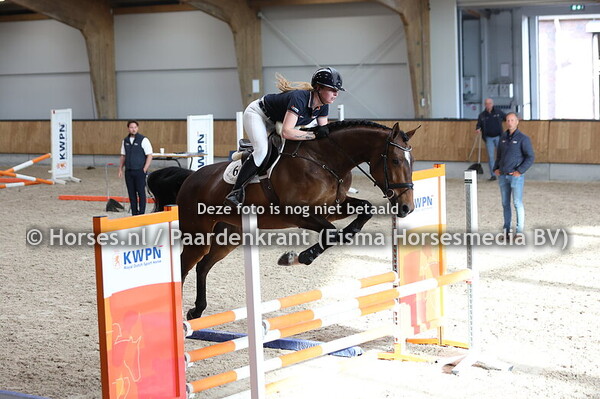 6 Sola Dola VBT (Chaccothage Blue PS x Cendola v. Veron)