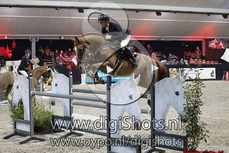 Poker de Mariposa Tn