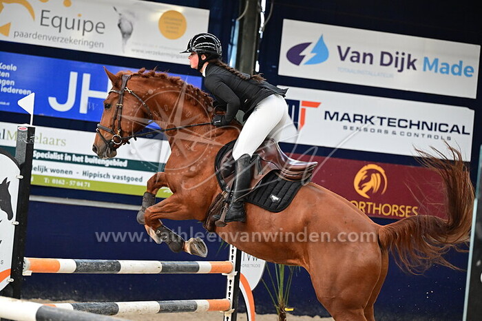 Sterre de Wijs - Umarilla VD D en D Hoeve
