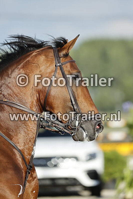 federico sandoval sanabria