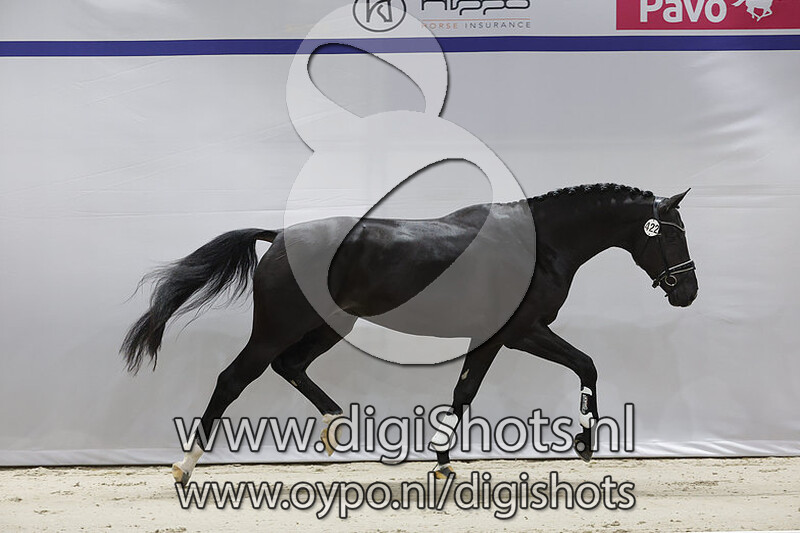 Ohjee v. Glocks Toto Jr