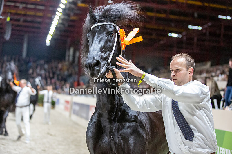 Hengstenkeuring 2020 Eise 498