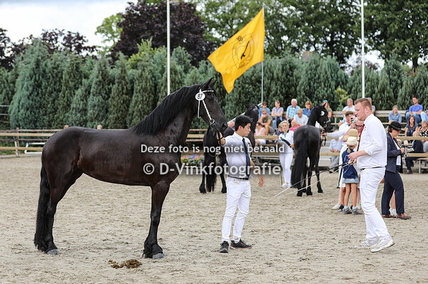 Rubriek 6D premiekeuring 3 jarigen