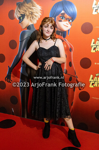 Ladybug and Cat Noir