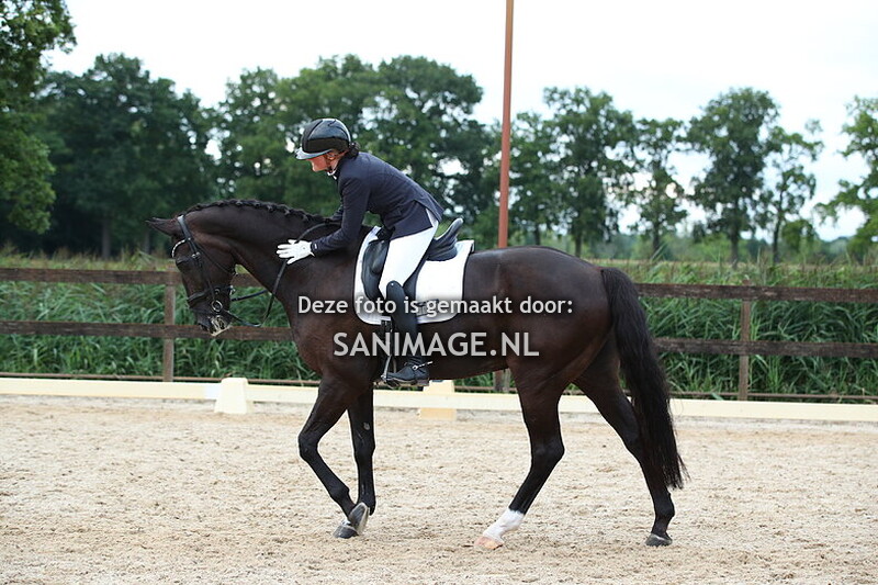 Manege Groenewoude Dressuur 17-08-2025 Ring 2 18.20 - 20.00 uur