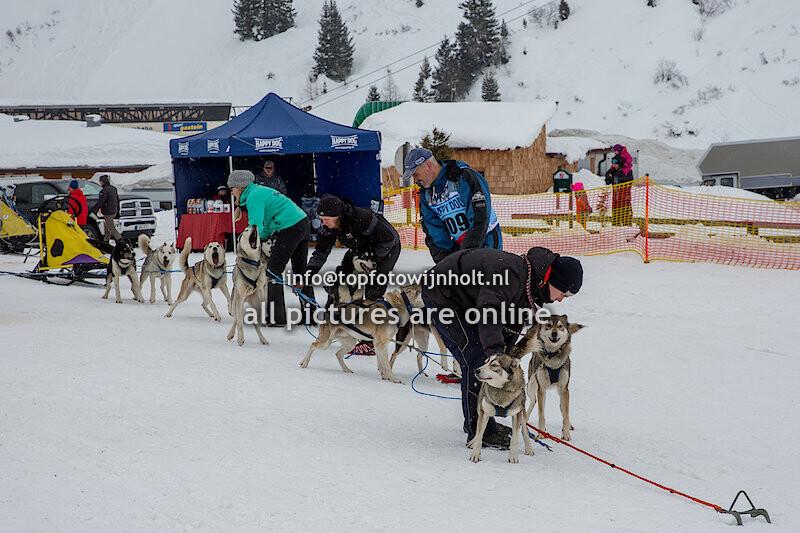 Internationales Schlittenhunderennen Sportgastein 12-3-2016