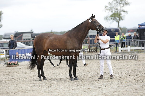 48 Ganiki (Voice x Saniki v. Lancet)