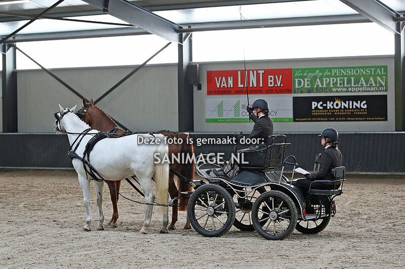 De Voornruiters De  Meern Mennen dressuur 28-01-2023 Ochtend