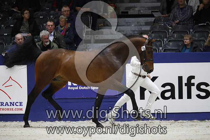 Lennard HBC v. Gullit HBC