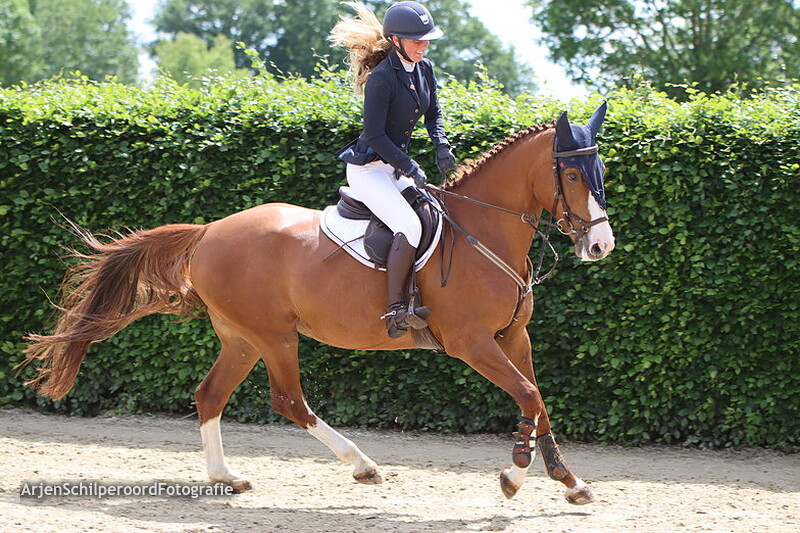 CH Wanneperveen 26-05-2022 Pony's Prijsuitreiking 90cm Klassiek op stijl