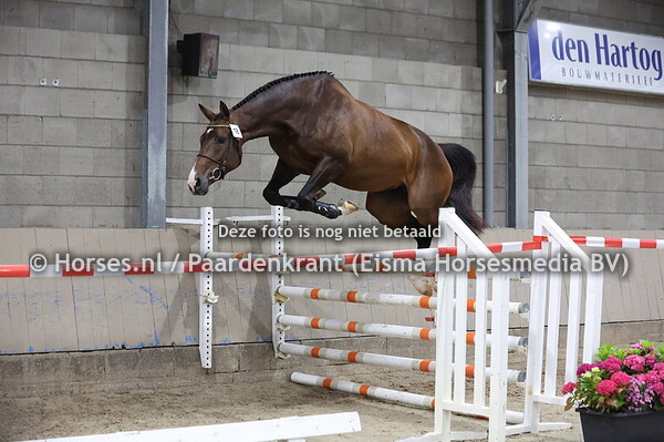 18 Othella van Breedveld (Jacadello x Donnatella)