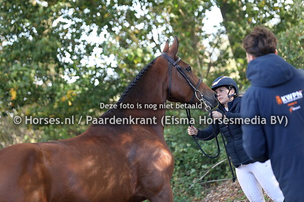 22 Kom On Quick (Comme il fait x Uuebecca Z v. Quick Star) met Dirja Veneberg