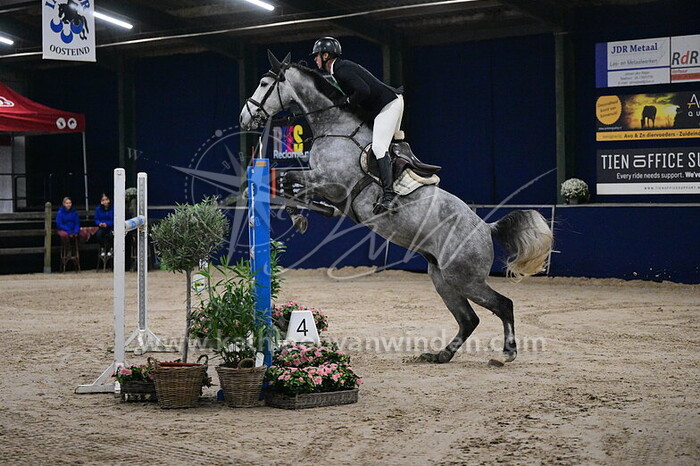 Dries van der Linden - Castello Z