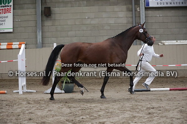 60 I love You (Warrant x Violeta v. Riverman)