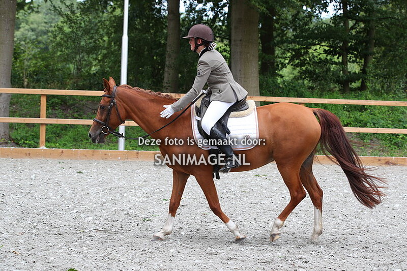 RC Henschoten dressuur 16-07-2023 klasse B