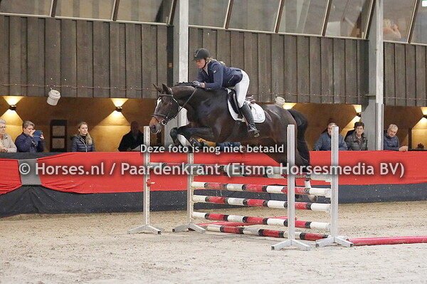 25 Lamour (Great Blue x Famour v. Verdi) Marloes Bont