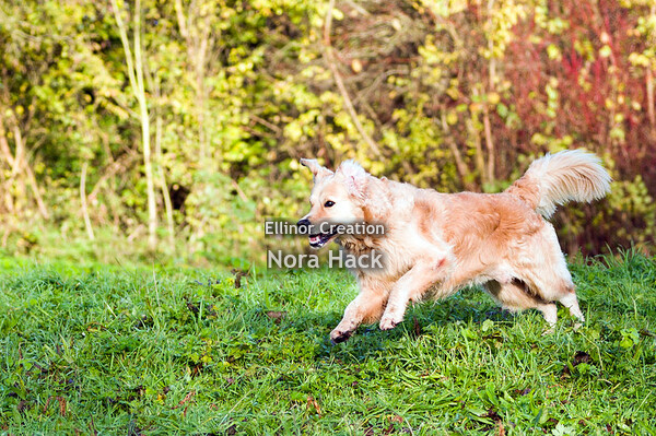 Zondag 24 november 2019