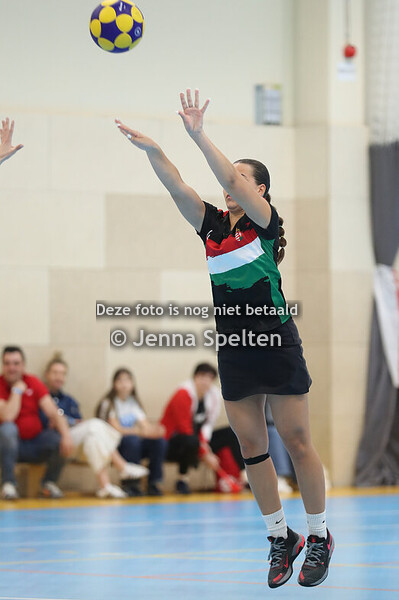 2025-04-20-29-hall2-JSPN-POL-HUN