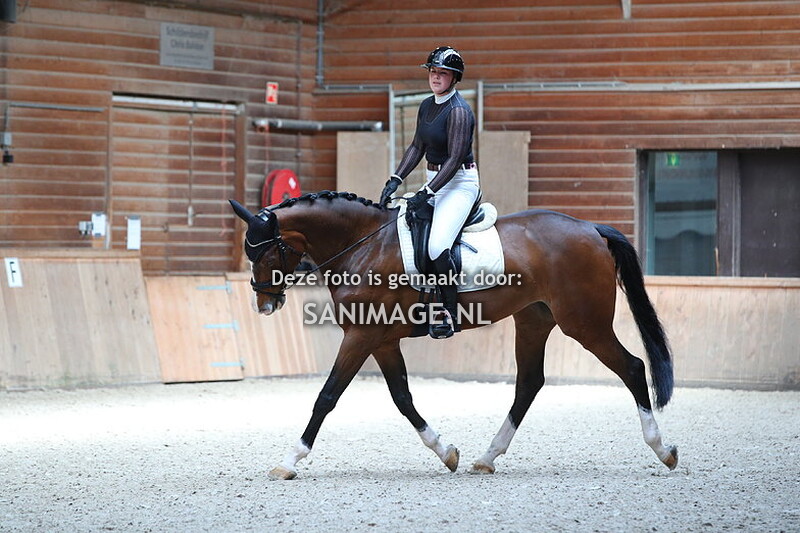 PV Midland Clubkampioenschappen Dressuur 13-04-2024 13.45 uur