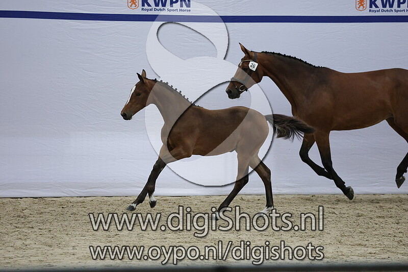 Viva la Vida Queen v. On the Spot