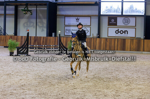 Green Valley Kerst Trophy Pony's 70cm 22-12-24