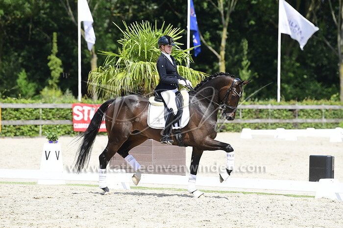 Cynthia Eggenkamp - No Nonsense D