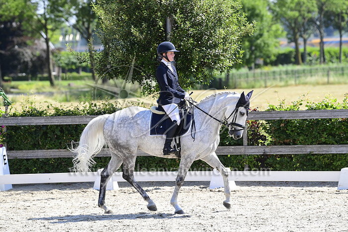 Lotte Karsemeijer - Hazy Maeve