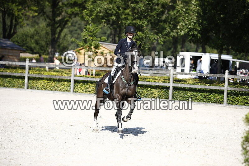 angelique van der weele