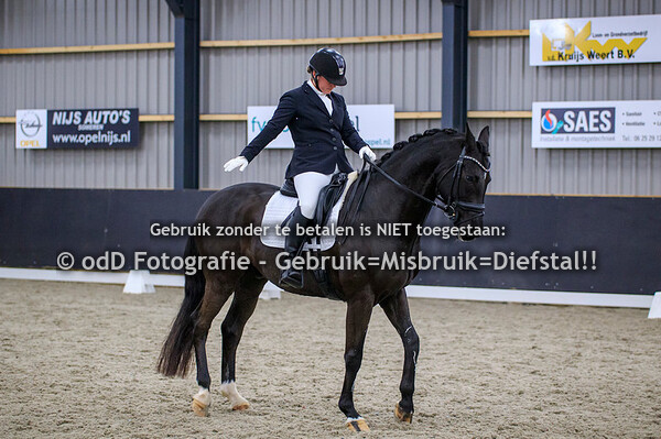 Dressuur PSV Nederweert Paarden Z1 Z2 ZZL 12-12-21