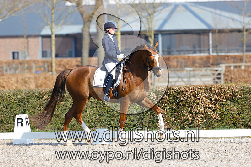 King Fan Weerdenbras